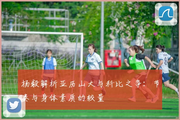 杨毅解析亚历山大与科比之争：节奏与身体素质的较量